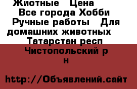Жиотные › Цена ­ 50 - Все города Хобби. Ручные работы » Для домашних животных   . Татарстан респ.,Чистопольский р-н